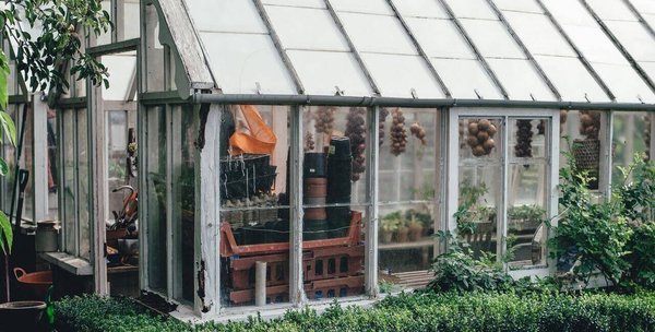 Combien coûte une serre de jardin ? Éléments de calcul et facteurs à prendre en compte