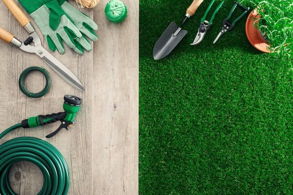 Les outils essentiels du jardinier débutant