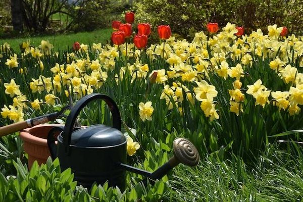 Les accessoires indispensables pour le jardinage