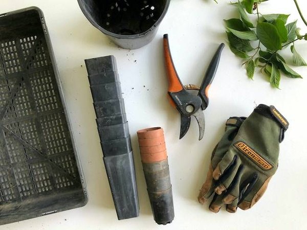 Les accessoires de jardinage qui feront toute la différence