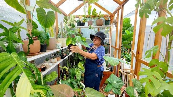 Comment protéger vos plantes efficacement