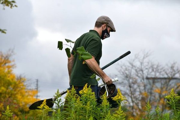 Les astuces pratiques pour l'entretien de votre jardin