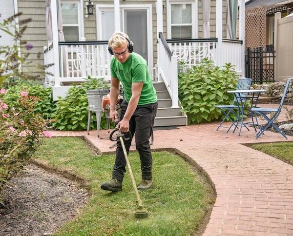 Comment préparer votre jardin à l'arrivée des différentes saisons ?