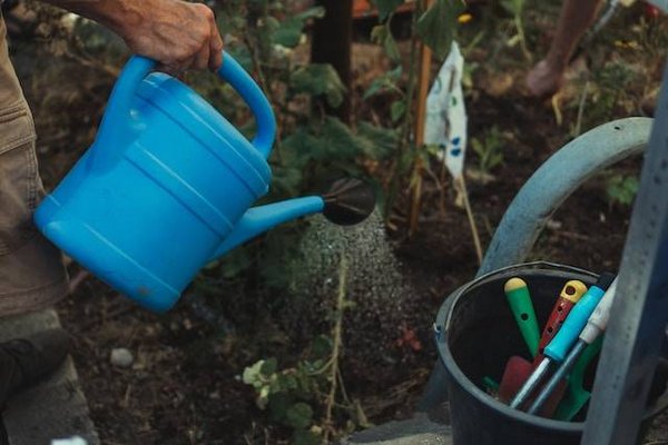 Quels sont les outils indispensables pour le jardinage ?