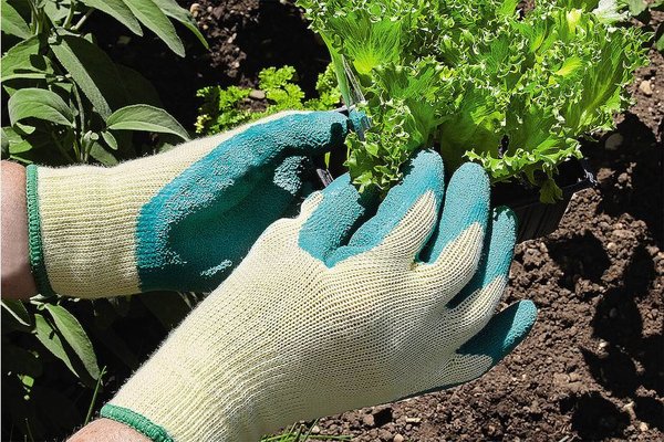 Comment choisir ses gants de jardinage