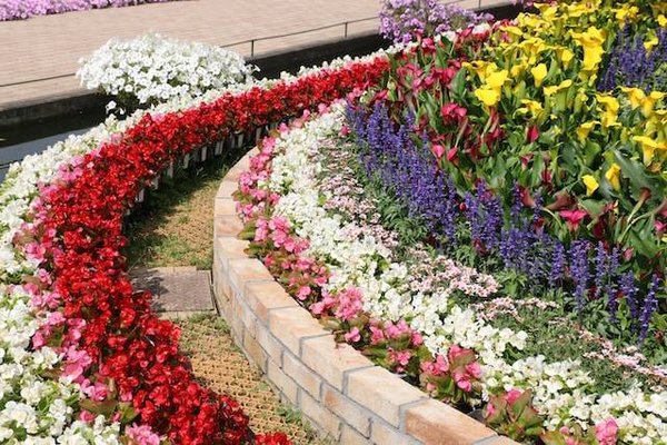 Comment prendre soin de vos plantes et les protéger ?